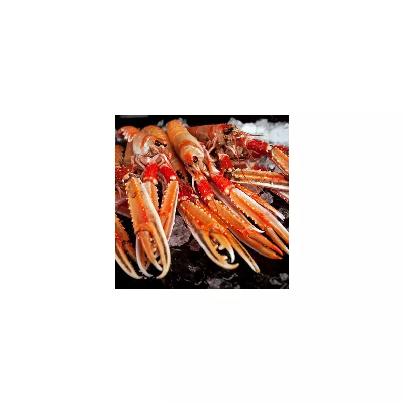 Scottish Seafood Giants Plunge into Administration as Buyers Circle Assets