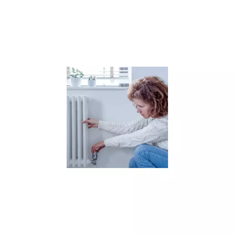 ScottishPower offers £300 winter credit with heat pump switch