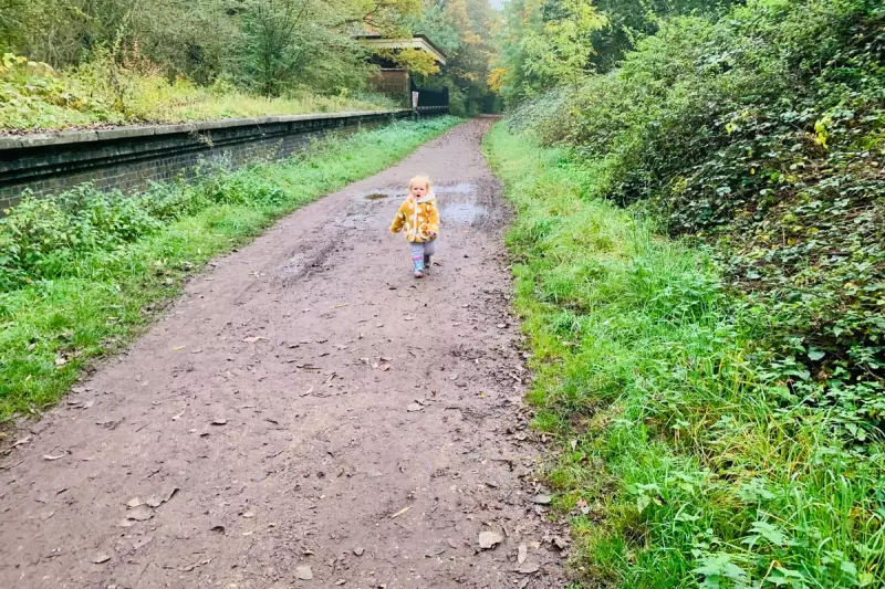 South Staffordshire Railway Walk: 5.5-Mile Flat Route for Autumn Strolls