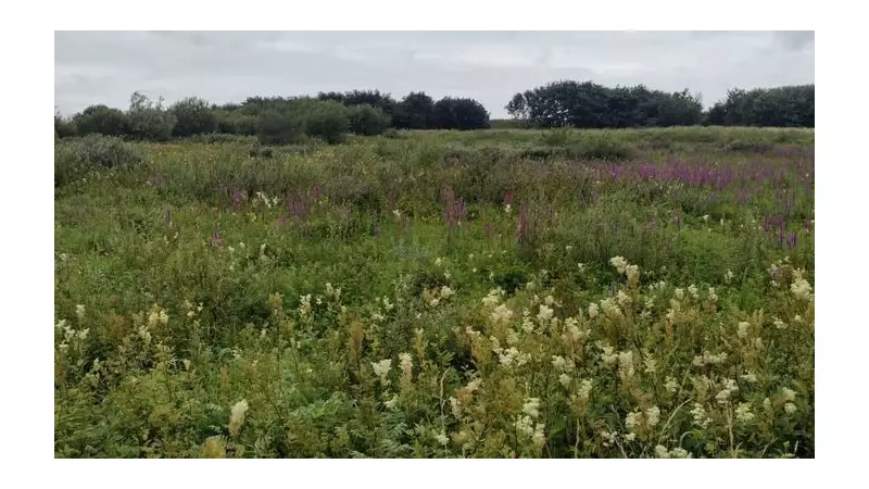 Southport Wins Top UK Bloom Award Thanks to Coastal Habitat Revival