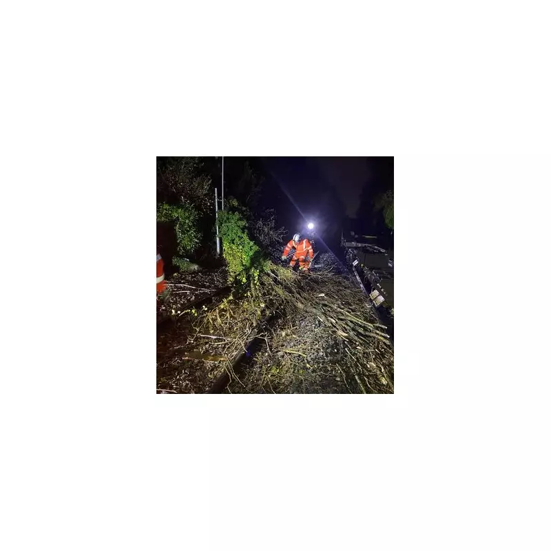 Storm Claudia Batters West Midlands: Floods, Fallen Trees, School Closures