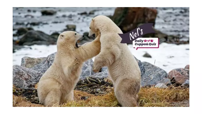 Sunday Quiz: Test Your Knowledge on History, Food & Culture