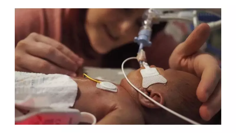 Tŷ Hafan's 60-Hour Appeal Aims to Raise £400k for Bereaved Families