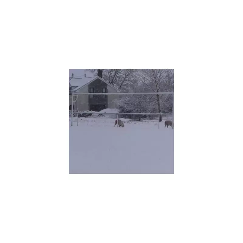 UK Braces for 66-Hour Snow Blast: Arctic Freeze Set to Blanket Britain