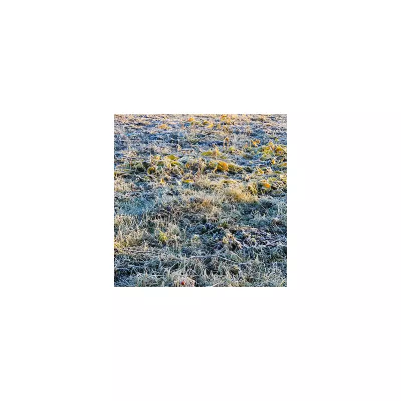 UK Braces for Frost and Snow as Temperatures Set to Plummet by 7C