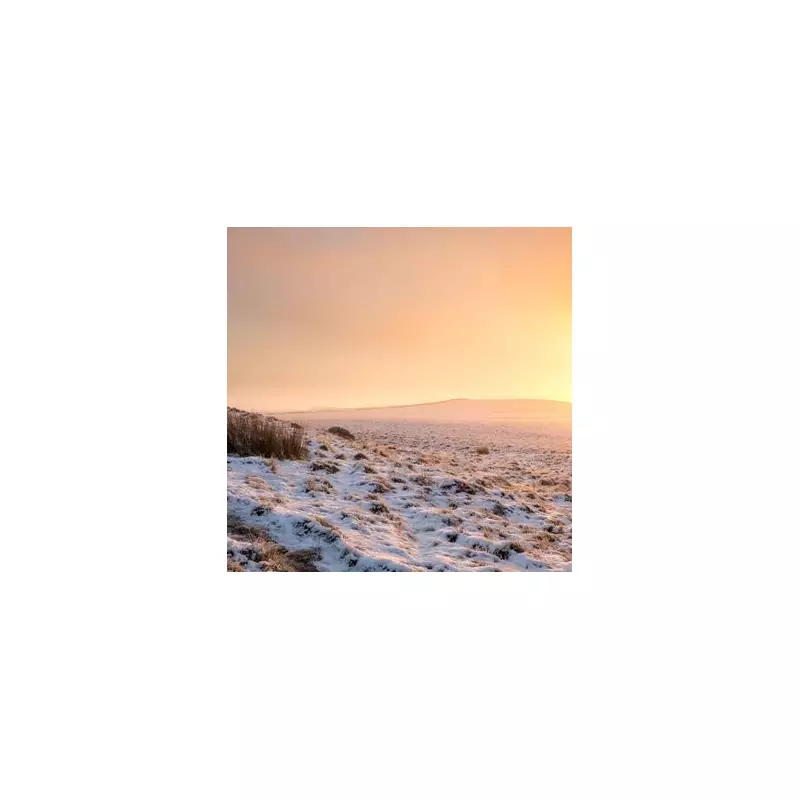 UK Braces for Second 'Snow Bomb' with Four-Day Freeze Hitting All Home Nations