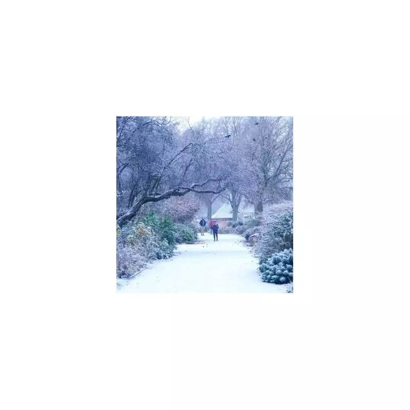 UK Cold Snap Could Trigger First £25 Cold Weather Payments of Winter