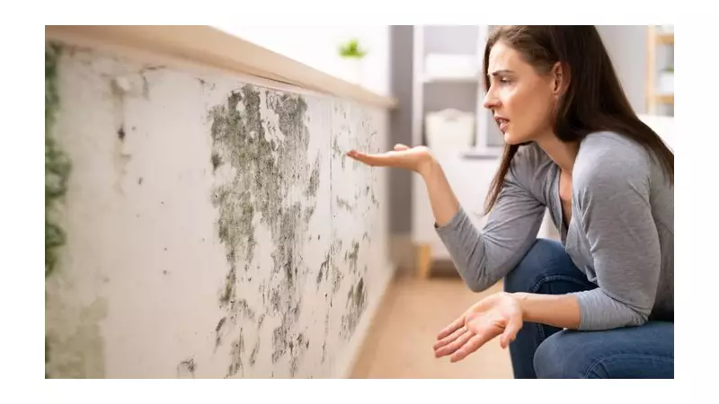 UK Damp and Mould Crisis: Health Risks and Prevention Guide