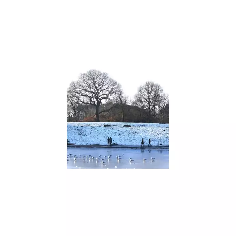 UK Snow Alert: 8 Counties Braced for 4 Inches of Snow