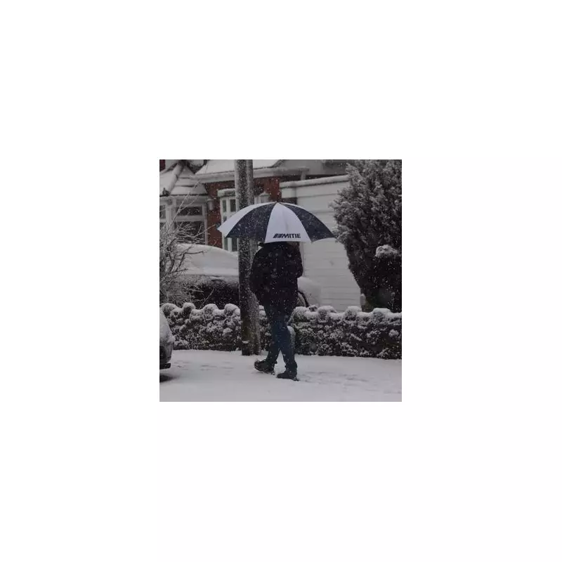 UK urged to buy 6 essentials before -7C Arctic blast hits