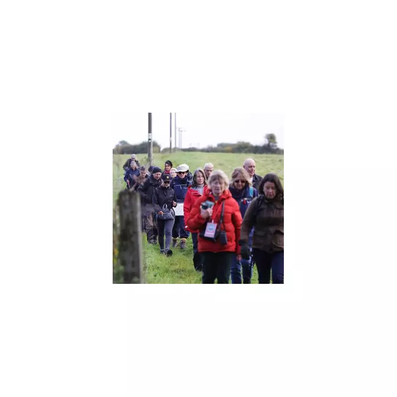 UK's Largest Solar Farm Rejected in Malvern Hills David vs Goliath Battle