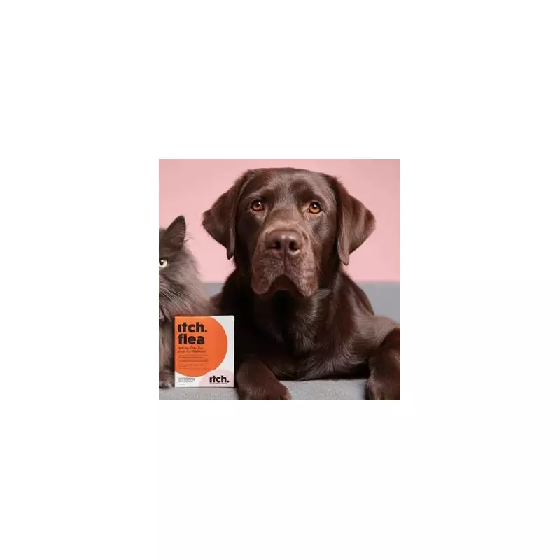 Vet Issues Urgent Warning to UK Pet Owners Over Deadly Flea Infestation Crisis