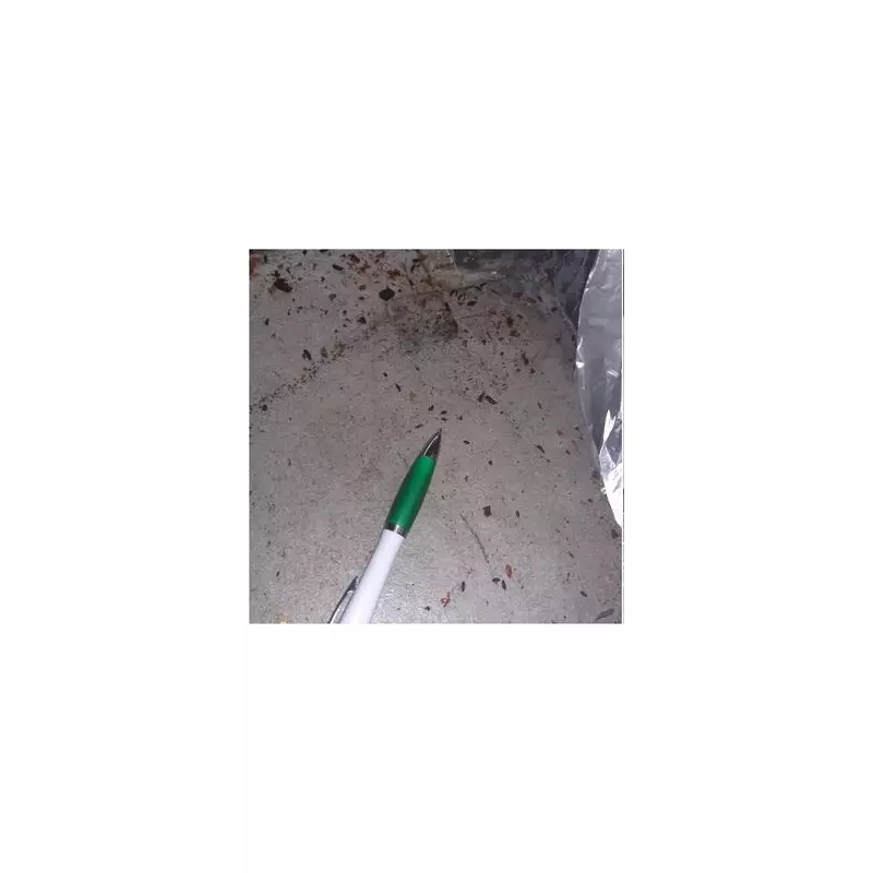 Walsall wedding caterer fined £5k after mouse droppings discovery