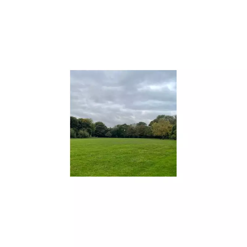 Walsall's £50m School Plan Sparks 'White Elephant' Row