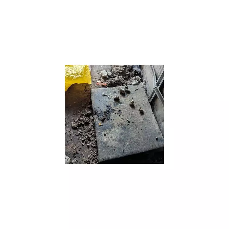 Wolverhampton breeder banned after five dead dogs found in squalor