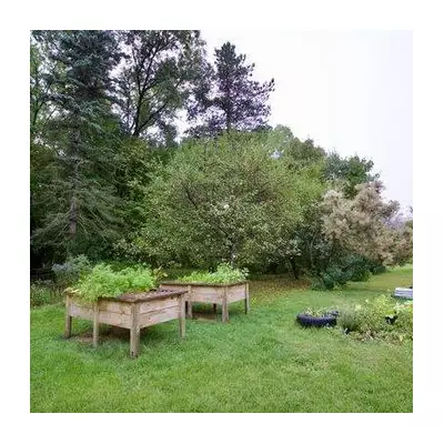 Gardener's Camera Captures Rare Pileated Woodpecker in UK Garden