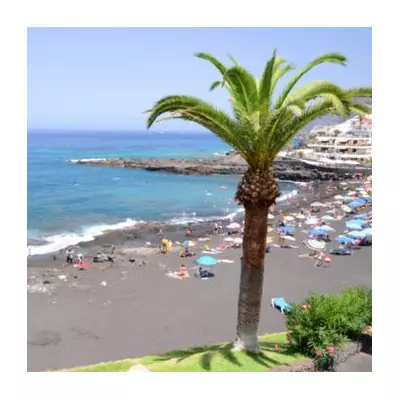 Tenerife Red Alert: Three Dead as 15ft Waves Hit UK Tourist Hotspot