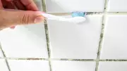 Banish Mould for 20p: Expert's Eco-Friendly Grout Cleaning Hack
