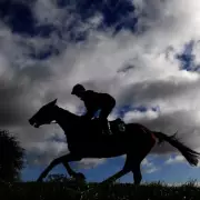 Berkswell Stables Converted to Offices After Tragic Racehorse Deaths