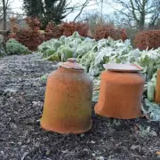 Birmingham Braces for -1C Arctic Blast in Late November Freeze