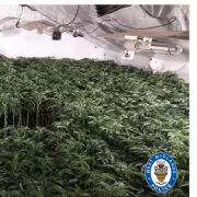 Birmingham Police Uncover £9.5m Cannabis Farm in Lozells Raid