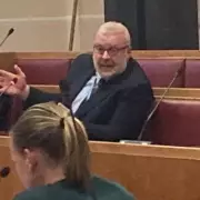 Council Faces Fury Over 'Disgraceful' Tree Felling in Popular Park