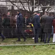 Councillor's Cricket Ball Knocks Out Bystander at Park Facility Launch