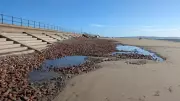 Crosby's WWII Rubble Defence Fails After 70 Years of Coastal Erosion