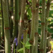 Don't Be 'Ignorant' About This Simple Boiler Setting That Could Save UK Households Hundreds