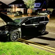 Dramatic Police Chase in Birmingham Ends with Crash and Dog Bite