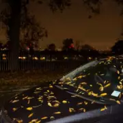 Drivers Risk £1,000 Fine Over Hidden Number Plate Rule Most Don't Know