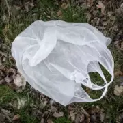 Drivers Urged to Use Carrier Bags on Wing Mirrors Amid UK Frost