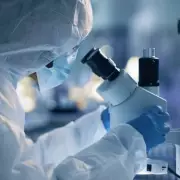 First Human Case of H5N5 Bird Flu: Man Severely Ill in US