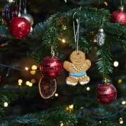 Former Florist's Pro Secrets for a Perfect Christmas Tree