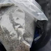 Four Arrested in Bloxwich Police Op: Drug Dealer Nabbed