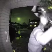 Grinch Steals 6ft Christmas Tree from Loughborough Mum's Porch