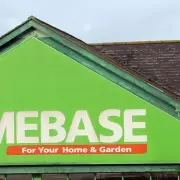 Homebase Rivals Tesco & Morrisons with Real Christmas Trees in 250+ Stores