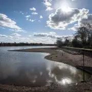 Jogger Seriously Injured in Dog Attack at Earlswood Lakes