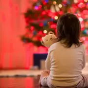 LED Christmas Lights Slash Energy Bills to Just 1p per 12 Hours