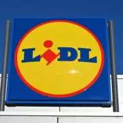 Lidl's Game-Changing Move: Supermarket Giant Slashes Prices on 100+ Essentials