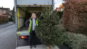 Manchester Christmas Tree Recycling Raises £117K for Hospices