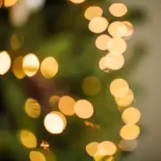 Martin Lewis: Switch to LED Christmas Lights to Slash Energy Bills