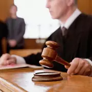 Midlands Dog Breeder Banned After £140k Animal Welfare Conviction