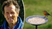 Monty Don's Essential Winter Bird Feeding Guide for UK Gardens