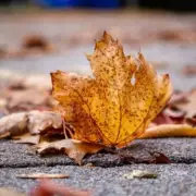 October's Hidden Road Danger: Why Thousands of UK Drivers Are Facing Unexpected Fines