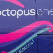 Octopus Energy: Slash Bills with 87p LED Bulbs