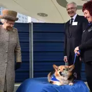 Paul O'Grady's Secret Friendship with Birmingham Drag Queen Revealed in Heartwarming Tribute