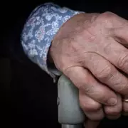 Pensioners' £7,848 Christmas Bonus: Unclaimed Discounts Revealed