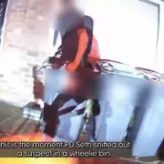 Police Dog Finds Suspect Hiding in Wheelie Bin After Chase