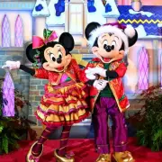 Save 25% on Disney World in Black Friday Deal for UK Travellers